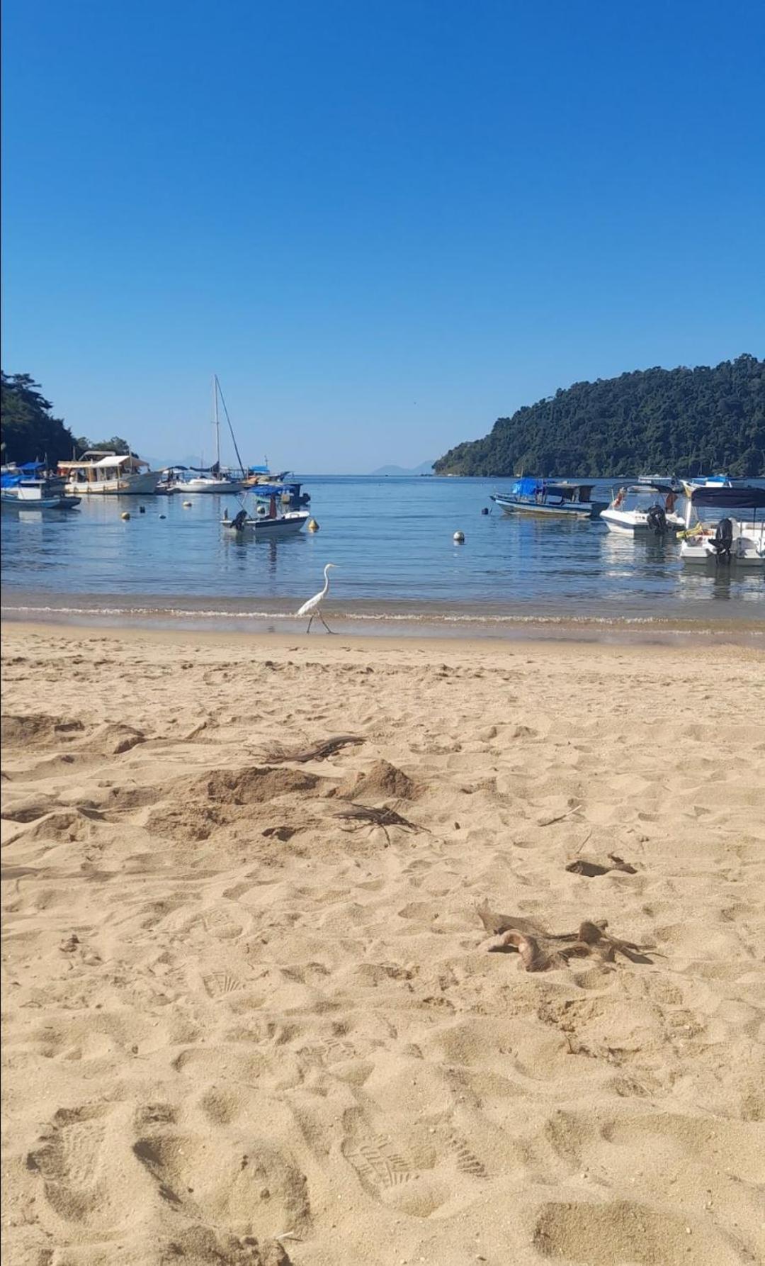 Paraty House מראה חיצוני תמונה